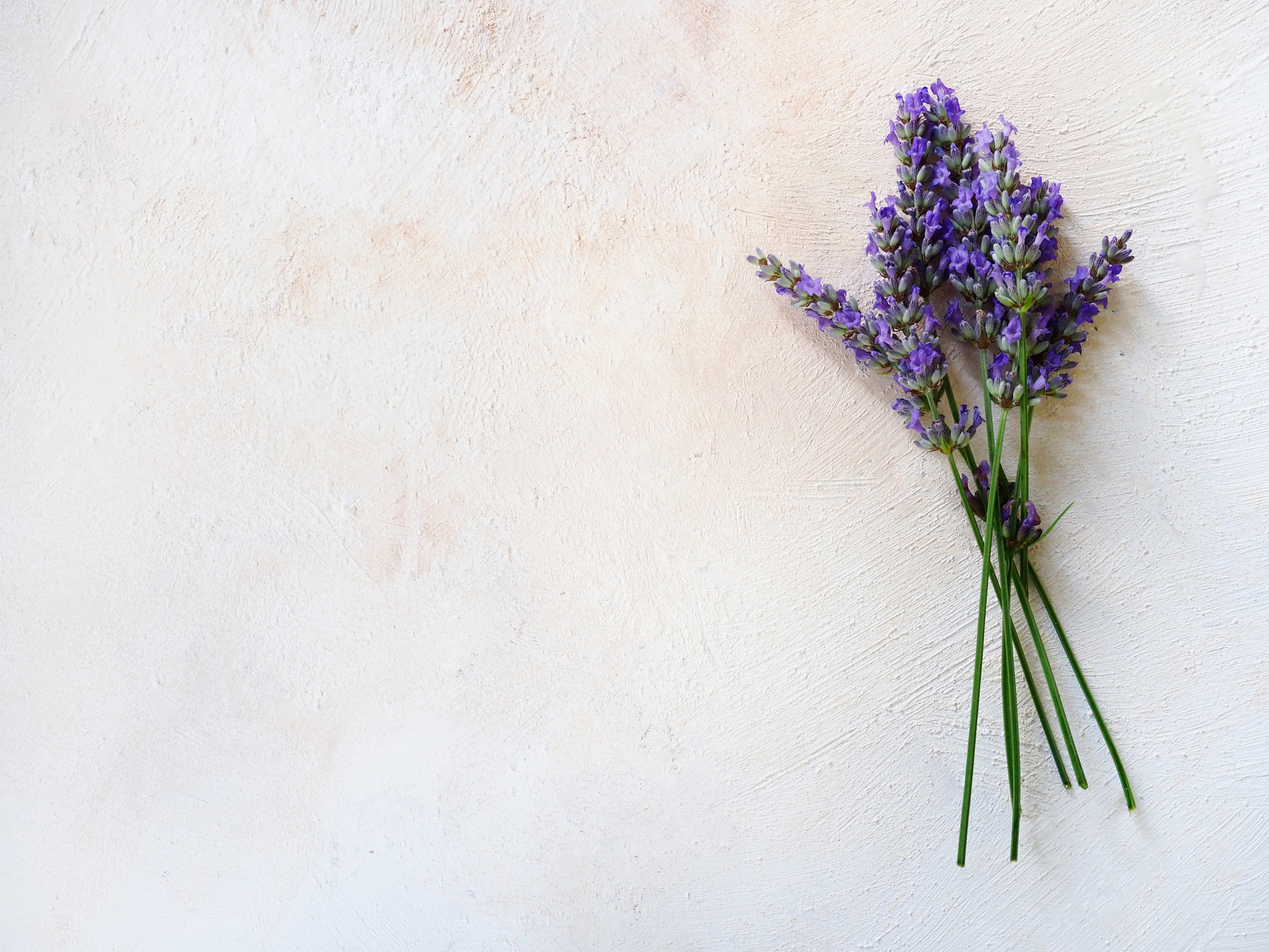 Lavander Flowers on Wooden Background